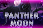 Panther Moon